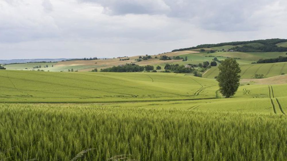 © Cédric Faimali/GFA